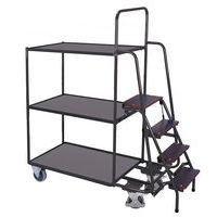 Wagen mit Holzplatten und Trittleiter - 990x595mm - Tragkraft 250 kg