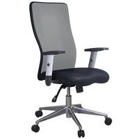Ergonomischer Bürostuhl, hohe Lehne, Penelope - Stoff - Manutan Expert, Mit Armlehnen: ja, Typ Fuss: Rollen