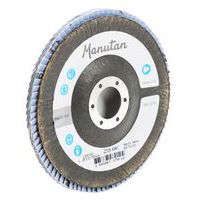 Gewölbte Lamellenscheiben Ø 125 mm - Manutan Expert