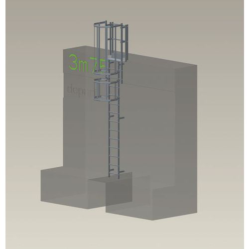 Kit complet échelle à crinoline - Hauteur 3,75 m - Tubesca