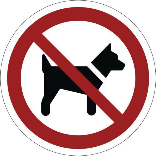 Panneau d'interdiction ISO 7010, Interdit aux chiens, Plastique rigide