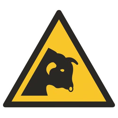 Panneaux de danger ISO 7010, Danger taureau, PVC autocollant