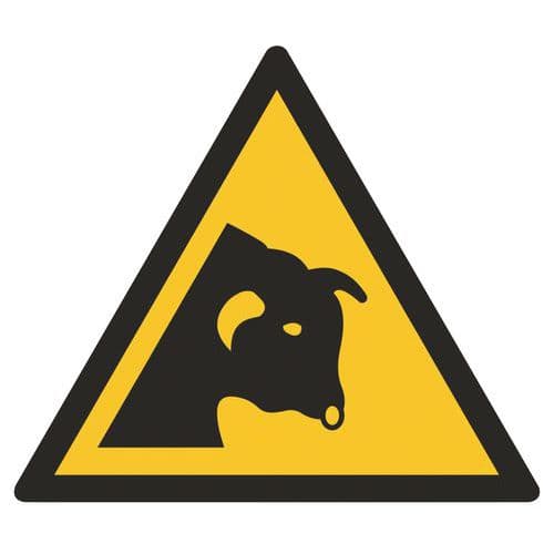 Panneaux de danger ISO 7010, Danger taureau, Plastique rigide