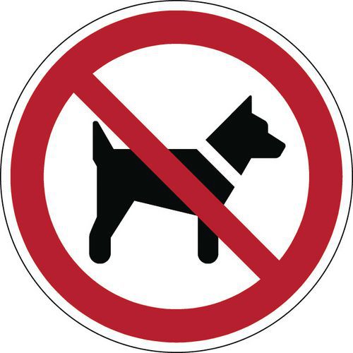 Panneau interdiction - Interdit aux chiens - Rigide