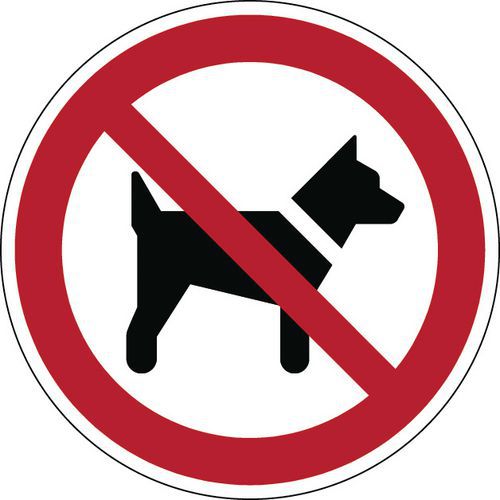 Verbotsschild - Hunde verboten steif