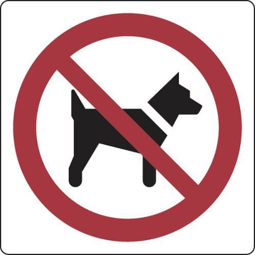 Panneau interdiction - Accès interdit aux chiens - Aluminium