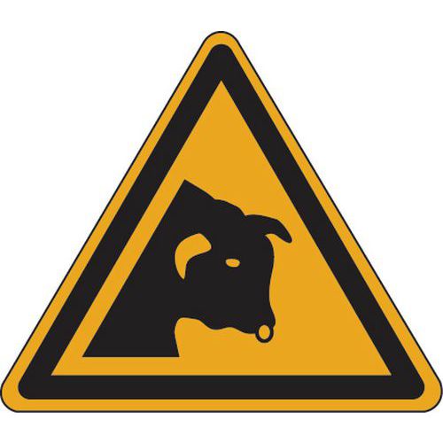 Panneau danger - Attention taureau - Aluminium