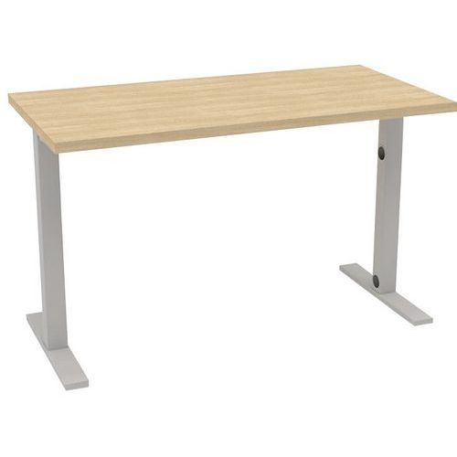 Schreibtisch 120 x 60 cm (L x B) Reihe Idea