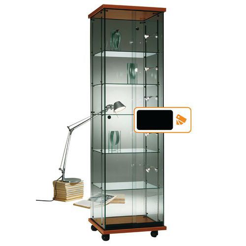 Vitrine Easy E5 mit LED-Beleuchtung Vitrine Easy E5 mit LED-Beleuchtung