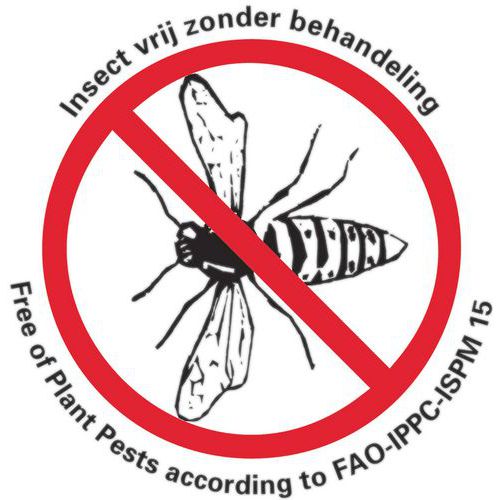 exempt d'insects nocifs exempt d'insects nocifs